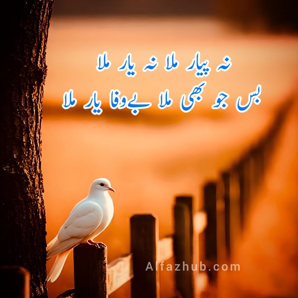 Bewafa Poetry in Urdu | Befawai Poetry in Urdu