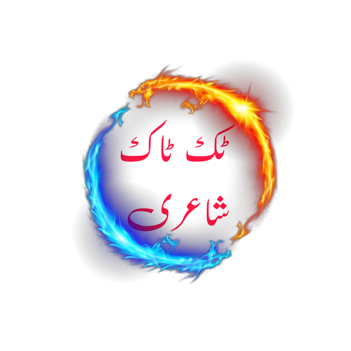 tiktok poetry by alfaz hub