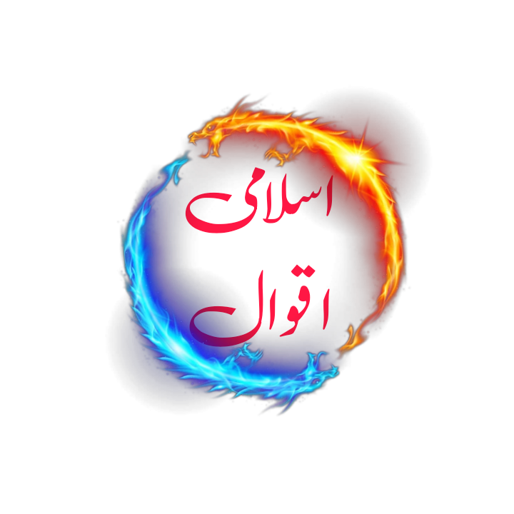 islamic quotes by alfaz hub