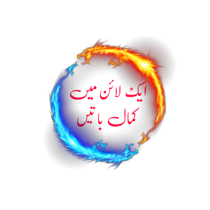 one line shayari by alfaz hub