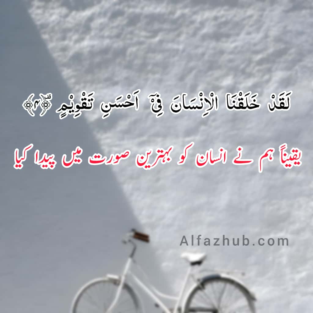 Quranic Ayat with Translation in Urdu by Alfaz Hub