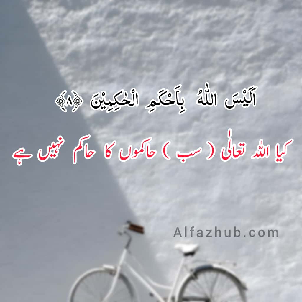 Quranic Ayat with Translation in Urdu by Alfaz Hub